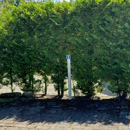 Frida Spo Nordsee Mit Hund * Sankt Peter-Ording