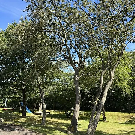 Lejlighed Frida Spo Nordsee Mit Hund *