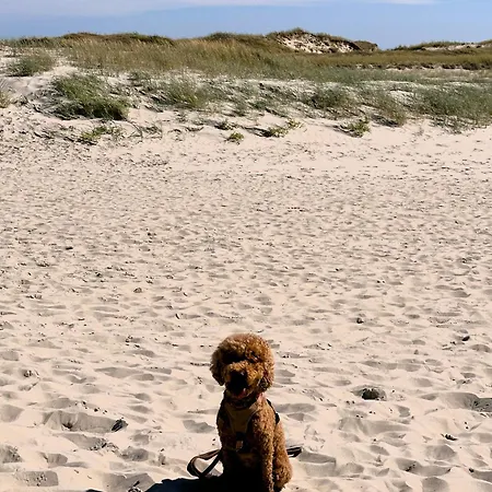 Frida Spo Nordsee Mit Hund *