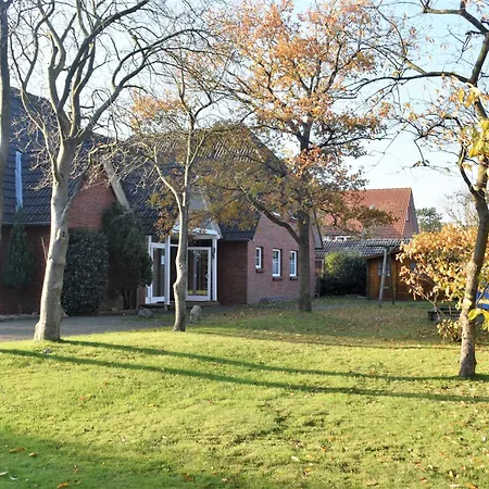 Frida Spo Nordsee Mit Hund