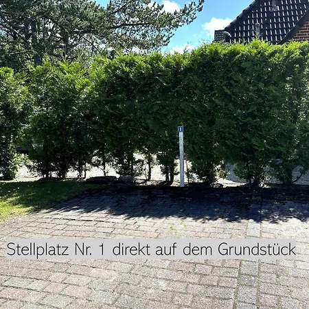 Frida Spo Nordsee Mit Hund Lejlighed *