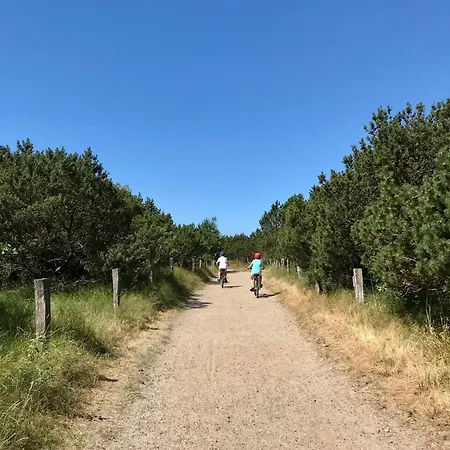 Apartmán Frida Spo Nordsee Mit Hund Böhl