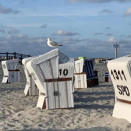 Apartmán Frida Spo Nordsee Mit Hund Böhl