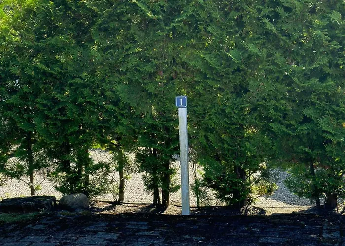Frida Spo Nordsee Mit Hund * Sankt Peter-Ording