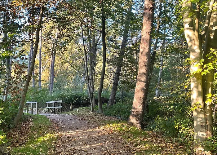 Frida Spo Nordsee Mit Hund